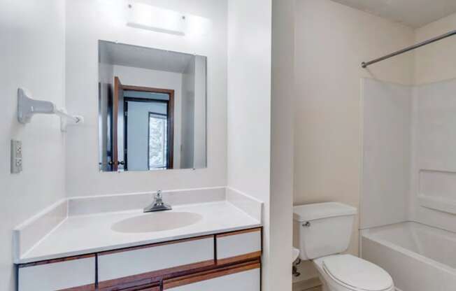 Unrenovated Unit Bathroom