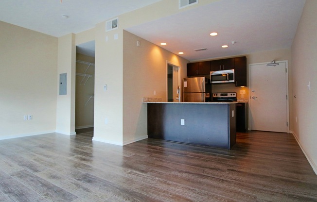 Studio, 1 bath, 404 sqft, $1,195, Unit APT 307