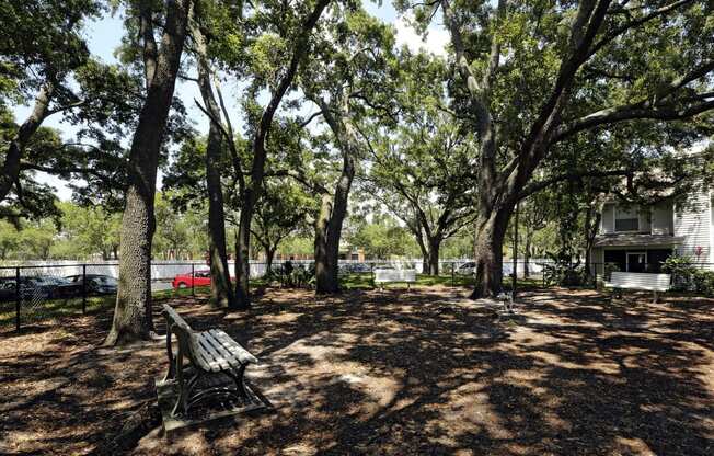 a picnic area with a bench and trees