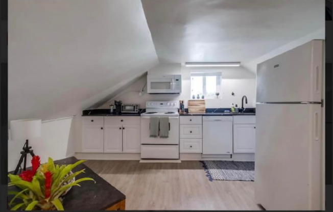 976 1/2 FELSPAR ST