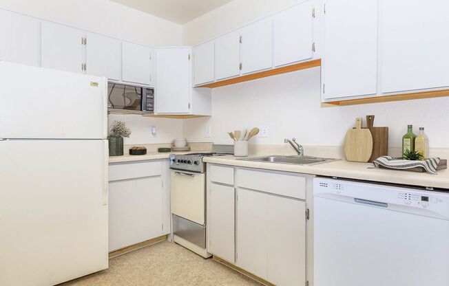 1 bed, 1 bath, 520 sqft, $775, Unit 305