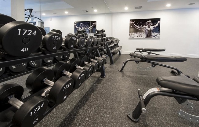 Free Weights In Gym at 1724 Highland, Los Angeles, CA, 90028