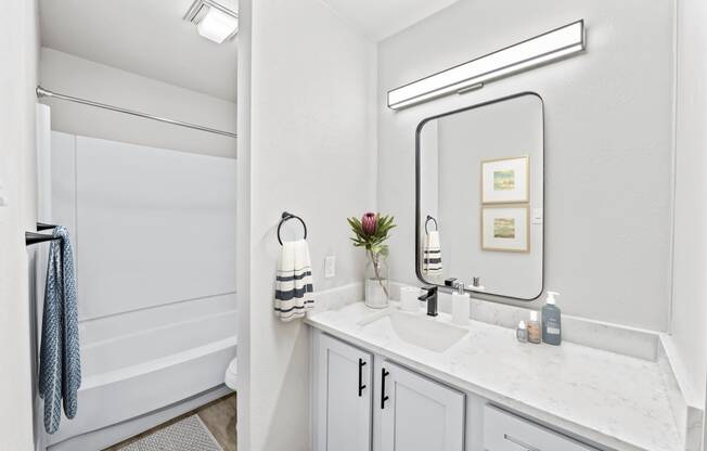 a bathroom with a sink and a mirror at Carmel at Deerfield, Texas