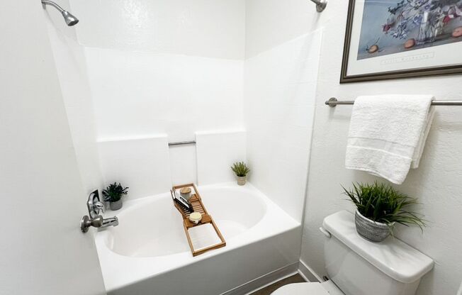 1 bed, 1 bath, 620 sqft, $1,995, Unit 0232