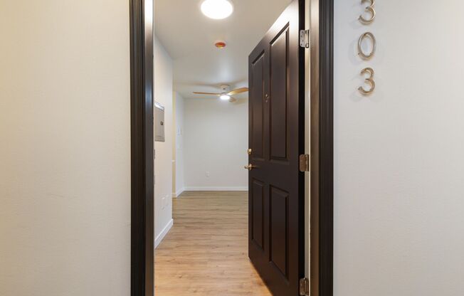 1 bed, 1 bath, 593 sqft, $1,895, Unit 303