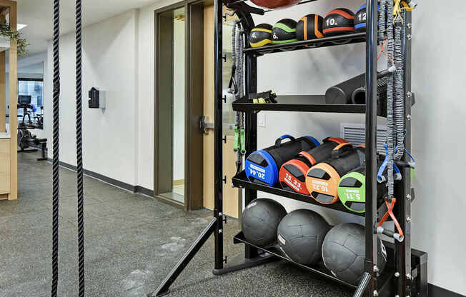 A gym with a weight rack and a row of exercise balls.
