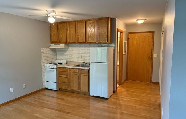 Studio, 1 bath, 350 sqft, $1,055, Unit Unit 203