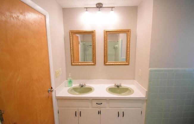 4099 SHENANDOAH DR SW