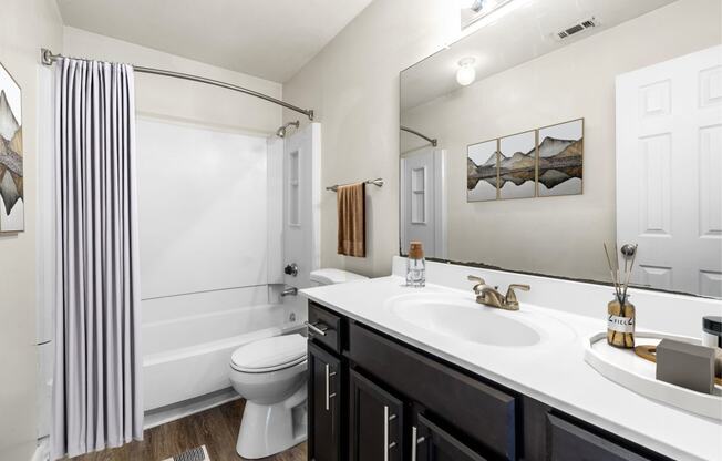 a bathroom with a sink and a toilet and a shower