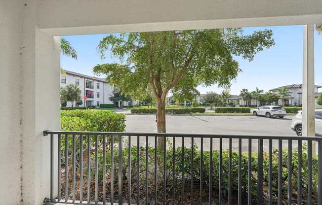 A tree in a courtyard with a car parked in the background.