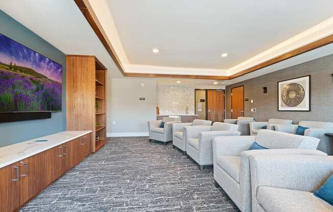 Theater Room at Harbor at Twin Lakes 55+ Apartments, Roseville