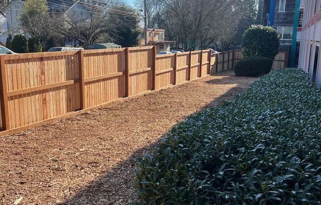 The Chateau Apartments