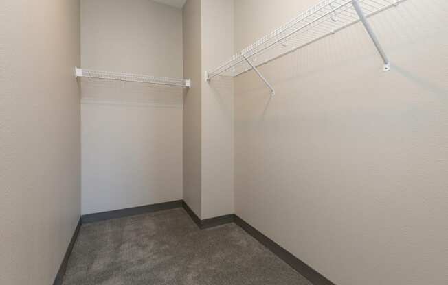 spacious closet with shelving