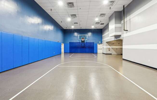 a basketball court in a large room with blue walls and a white scoreboard