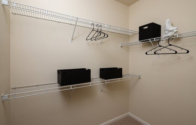 a walk in closet with shoe racks and a pair of sneakers