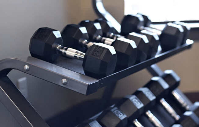 A set of dumbbells on a rack in a gym.
