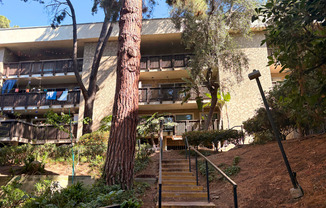 6416 Friars Rd Unit 304