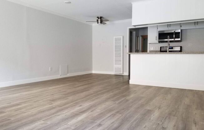 Studio, 1 bath, $1,595, Unit 4