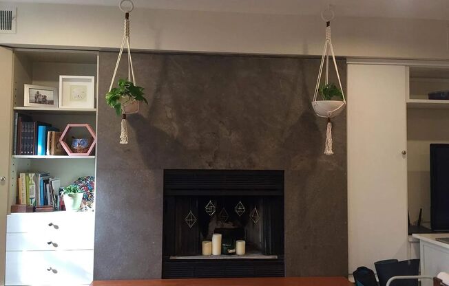 Charming 2 BR/1 BA Apartment in Woodley Park!