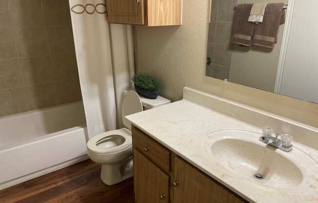 a bathroom with a sink and a toilet and a bath tub