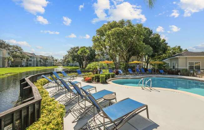 A pool with sun loungers and a wooden fence.
