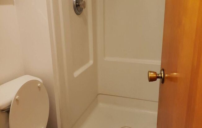 1 bed, 1 bath, 420 sqft, $585, Unit 8252