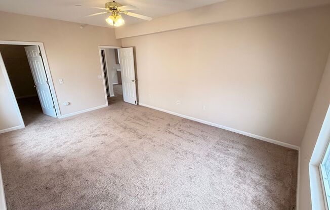 1 bed, 1 bath, 982 sqft, $1,142, Unit 07-203