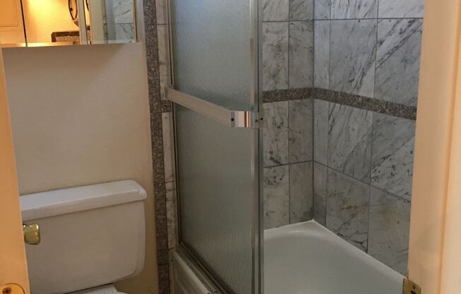 Studio, 1 bath, 250 sqft, $1,195, Unit 208