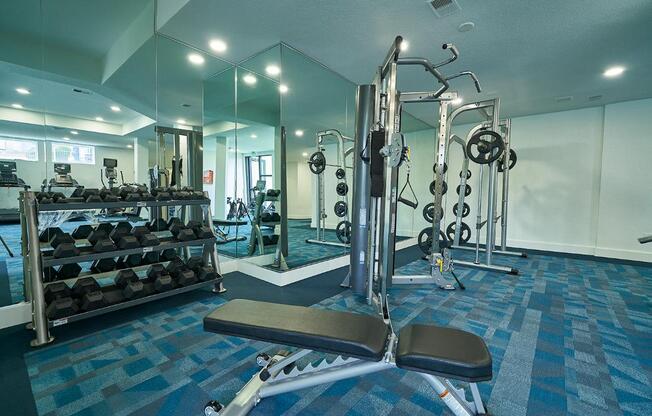 A gym with a blue carpet and a variety of equipment.