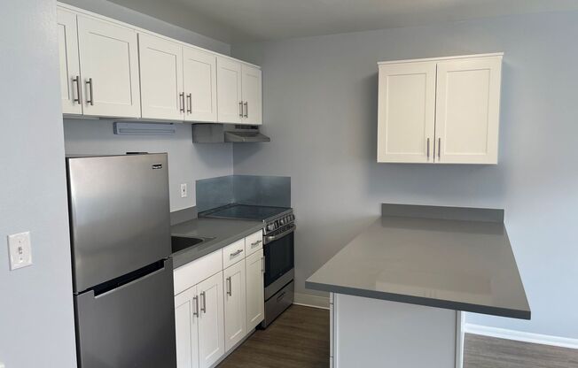 Studio, 1 bath, 350 sqft, $1,250, Unit 205