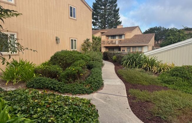 Great One Bedroom One Bath Condo in Monterey