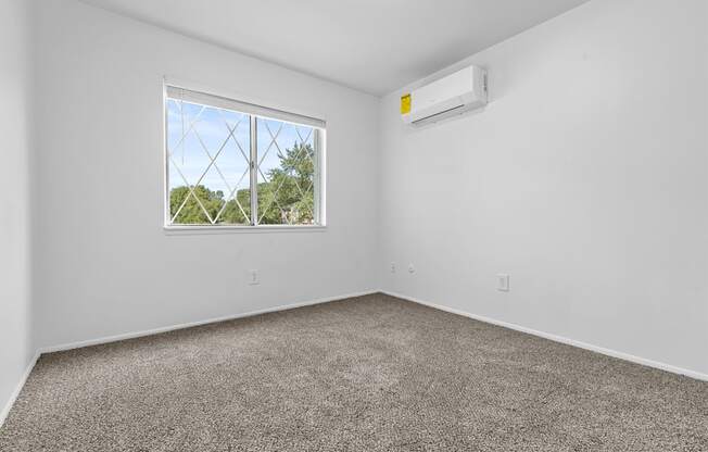 a bedroom with a window and carpet