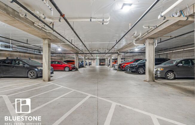 Studio, 1 bath, 389 sqft, $1,300, Unit 407