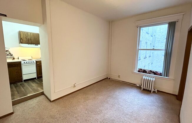 1 bed, 1 bath, 350 sqft, $570, Unit 305