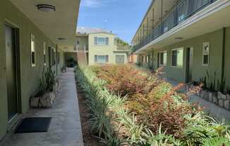 Courtyard landscaping