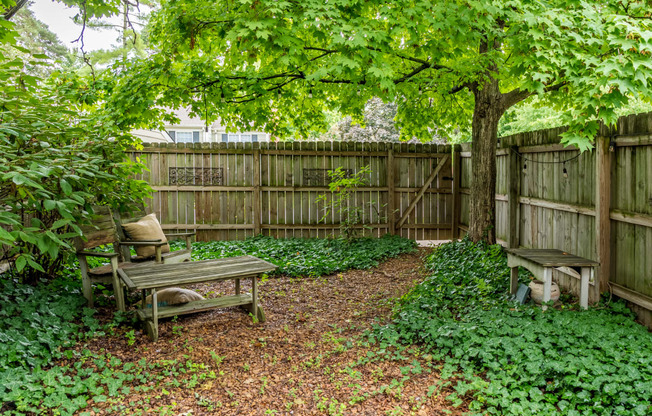 a backyard with a bench and a tree and a wooden fence
