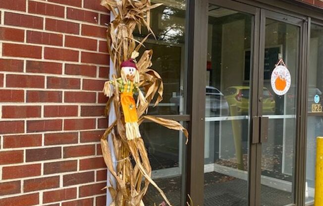 Studio, 1 bath, 325 sqft, $995, Unit C305