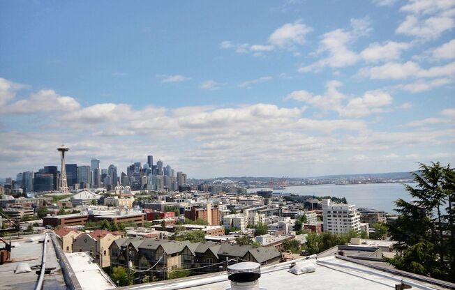Dazzling 1 bed 1 bath - Lower Queen Anne!