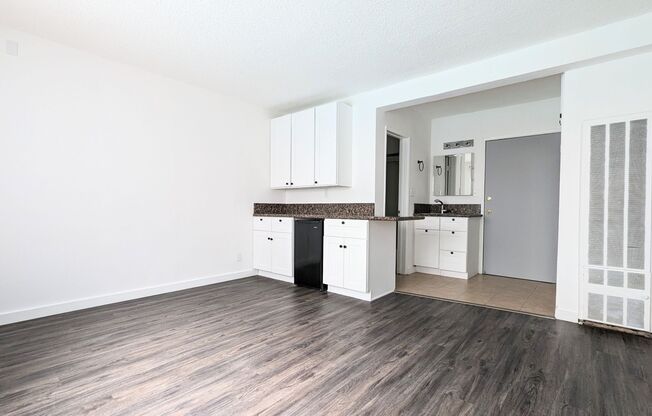 Studio, 1 bath, 263 sqft, $1,299, Unit 105