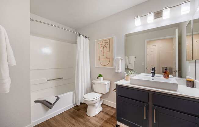 a bathroom with a toilet sink and shower and a mirror at Paisley and Pointe Apartments, Nevada, 89130