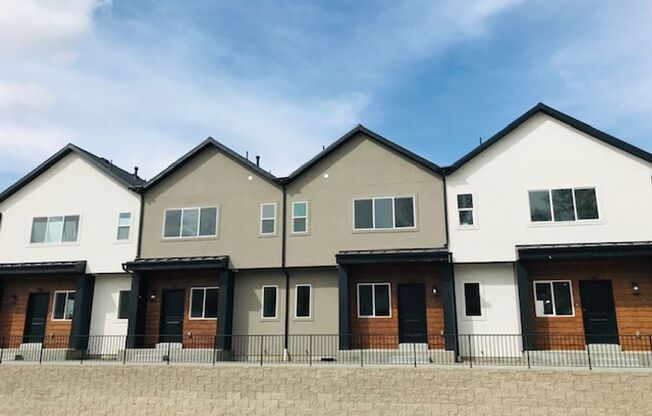 Beautiful new construction townhouse with quartz countertops and 2 car garage