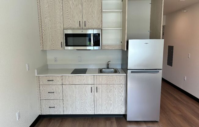 Studio, 1 bath, 348 sqft, $950, Unit 132