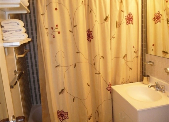 1 bed, 1 bath, 500 sqft, $2,850, Unit 503