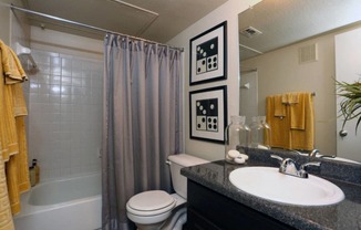 a bathroom with a sink and a toilet and a shower