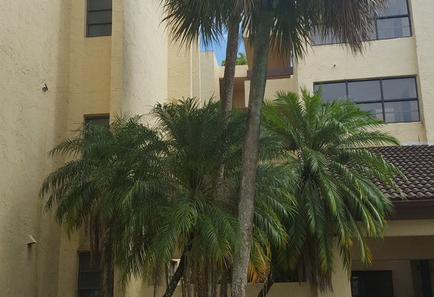 8820 SW 123 CT