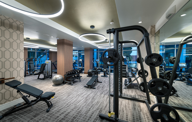 Indoor gym with squat racks, benches, kettlebells, dumbbells, weight machines, and cardio equipment. There are windows along two walls, a full wall of mirrors, and carpeted floors.