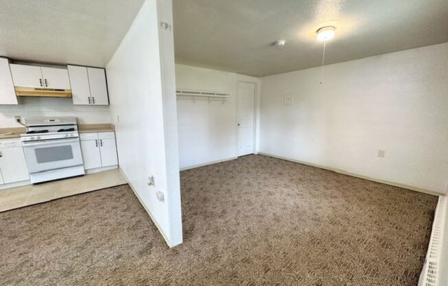 Studio, 1 bath, 500 sqft, $895, Unit 01