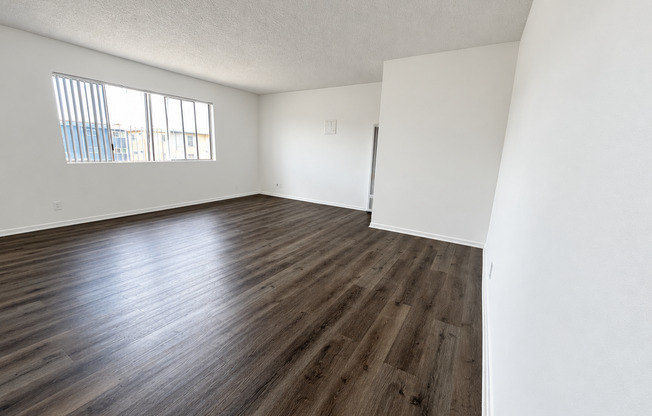 Spacious Studio - Renovated - Parking Available!