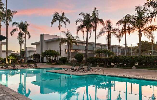 A swimming pool surrounded by palm trees and lounge chairs.