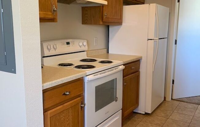 1 bed, 1 bath, 500 sqft, $925, Unit 3715-206